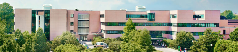 Humanitas Research Hospital